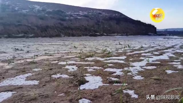 强风冰雹突袭 榆林榆阳区6万多亩农作物受灾