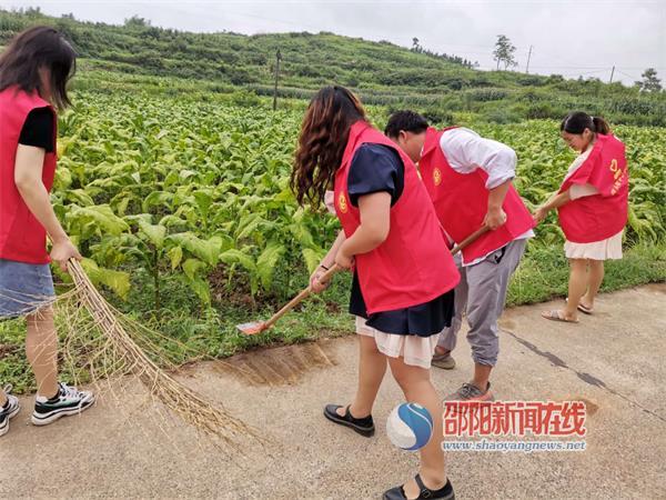 隆回县苏塘完小青年教师开展清洁卫生志愿服务活动