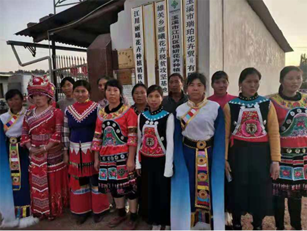 丽曦花卉:带领贫困群众种下“幸福花”