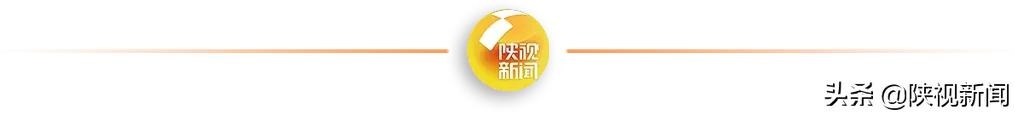 强风冰雹突袭 榆林榆阳区6万多亩农作物受灾