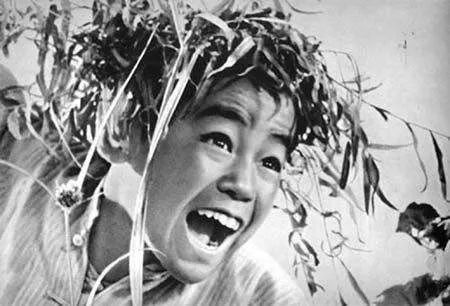 雄安三年看法治|在白洋淀,平凡的他演绎着不平凡的“水上人生”