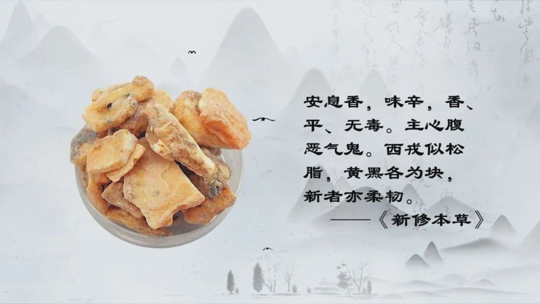 世界各地的奇珍异草,在广西落地生地、开花结果!