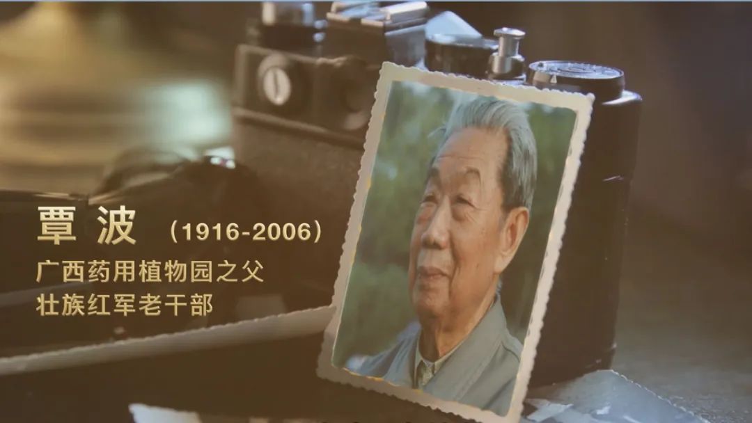 世界各地的奇珍异草,在广西落地生地、开花结果!