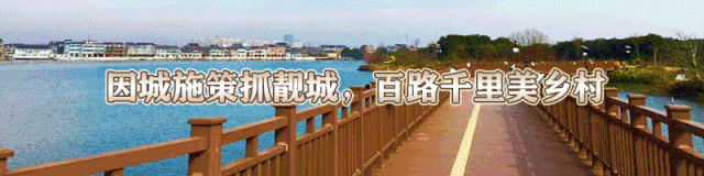 今晚10点,中考分数出炉!志愿填报、投档录取…这些信息请及时关注!