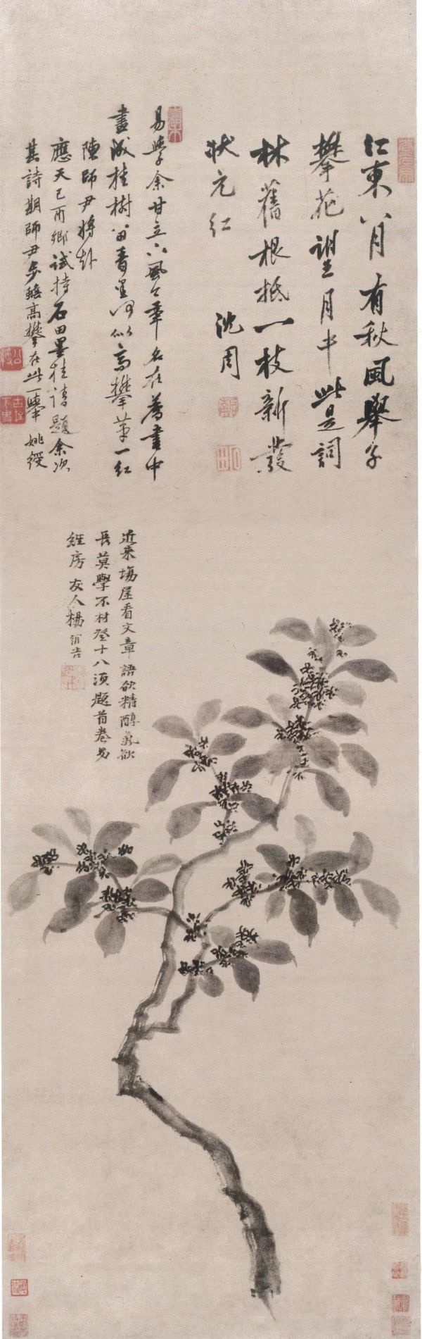 鉴赏|沈周绘画中的“应试”作品:一枝新发状元红