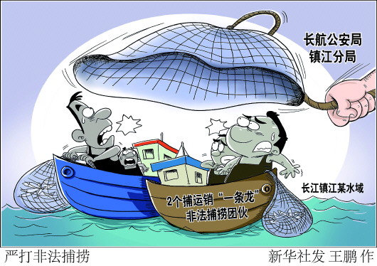 两个长江非法捕捞团伙被摧毁
