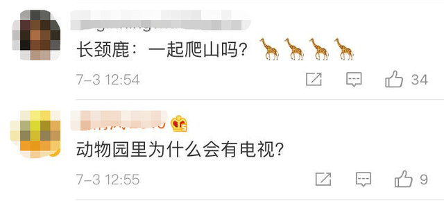 长颈鹿爱上看电视,凭身高抢C位!网友:往后站站,小心近视