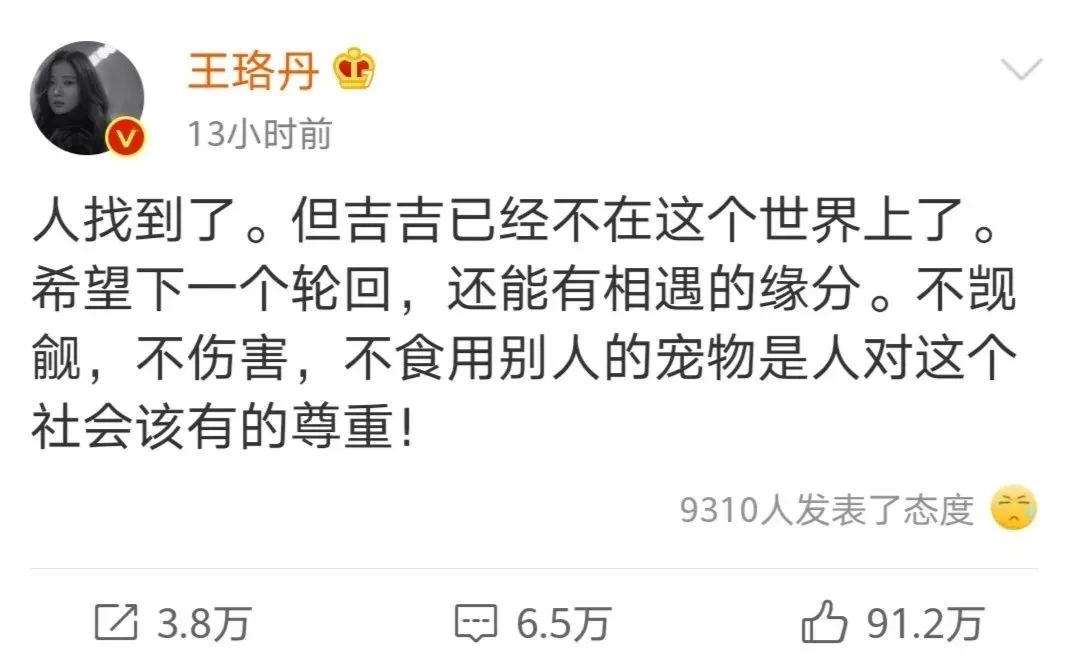 王珞丹寻找的宠物鸭被宰杀,抓鸭算犯罪吗?