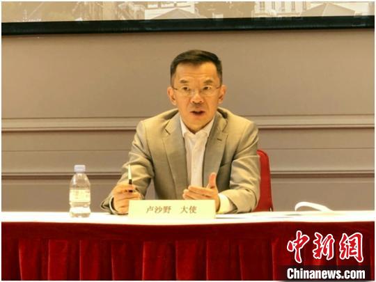 中国驻法大使与旅法侨界视频座谈 强调继续全力维护侨胞健康安全