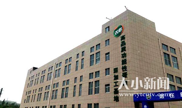 跟着市委书记去观摩|招远豌豆蛋白行业国际核心地位再巩固