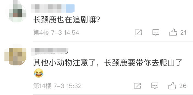 长颈鹿爱上看电视,凭身高抢C位!网友:往后站站,小心近视