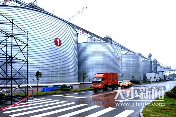 跟着市委书记去观摩|招远豌豆蛋白行业国际核心地位再巩固