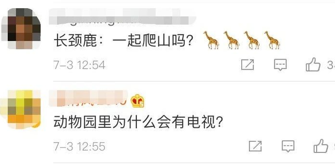 长颈鹿爱上看电视,网友急了:会近视靠后站啊!
