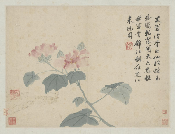 鉴赏|沈周绘画中的“应试”作品:一枝新发状元红