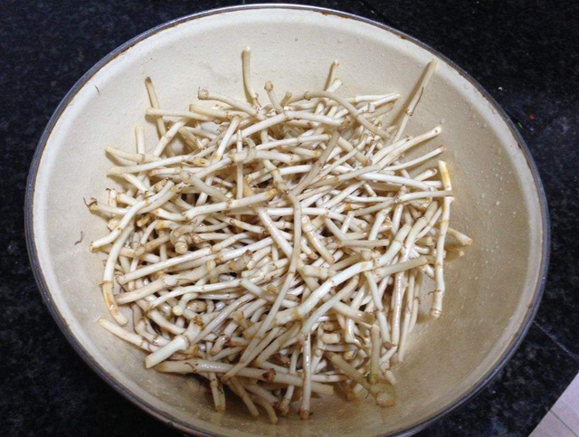 转告父母:鼻炎:这草药,既可治肺炎,又可治鼻窦炎,还可治肠胃炎