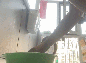 晚上吃火锅还是吃烧烤?终结选择困难症的神器来了!