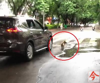 一天之内,柳州又一起!重点看评论