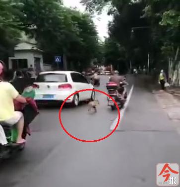 一天之内,柳州又一起!重点看评论