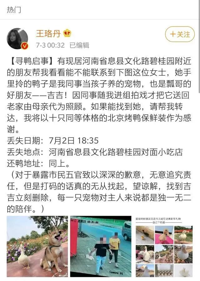 王珞丹寻找的宠物鸭被宰杀,抓鸭算犯罪吗?