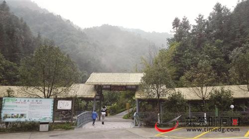 去清凉山谷叹清凉