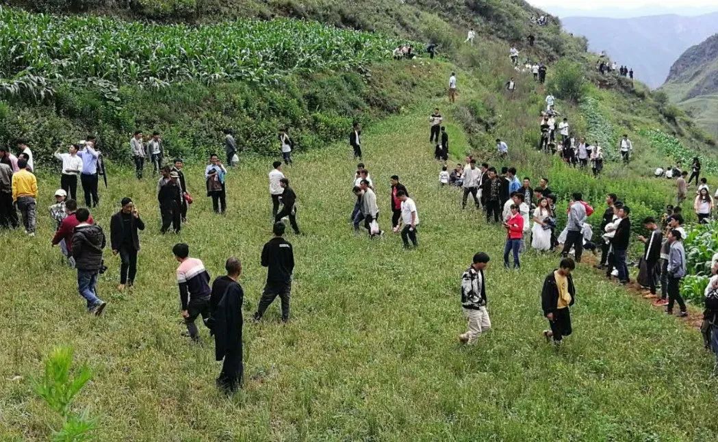 给大山不明声响加音效,说是“龙叫”“鬼叫”,2人被行拘