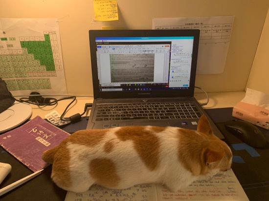 新冠肺炎|武汉的三位高考生：经历更多，但“我们都一样”