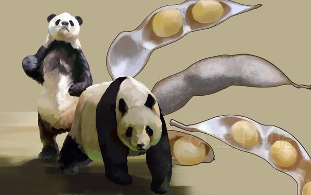 最新:巴西或首超美国成全球第一大豆生产国!5月对华出口886万吨休闲区蓝鸢梦想 - Www.slyday.coM 最新:巴西或首超美国成全球第一大豆生产国!5月对华出口886万吨休闲区蓝鸢梦想 - Www.slyday.coM