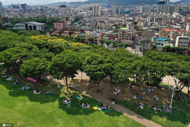 韩国大邱气温超30度 游人在树下整齐铺席乘凉