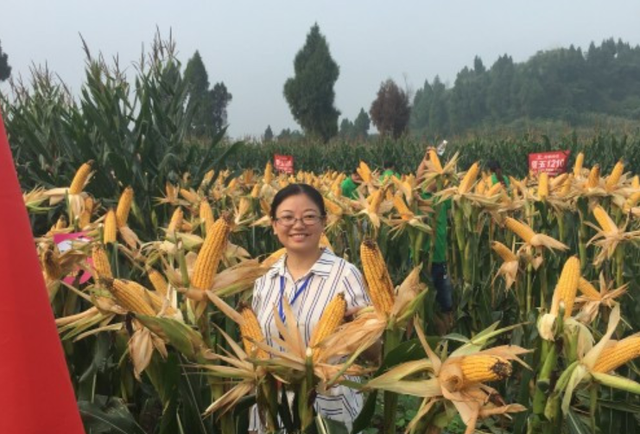厉害!80后女教授上任211高校副校长!还是跨专业读的博!