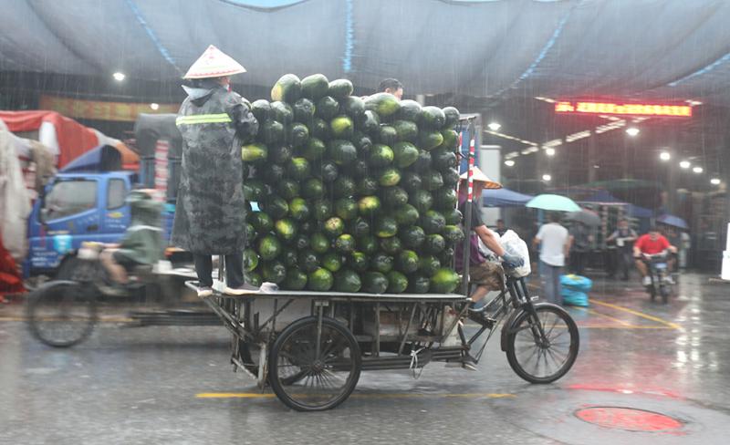 降雨持续,上海江桥蔬菜批发市场日均进场6000多吨150多个品种蔬菜