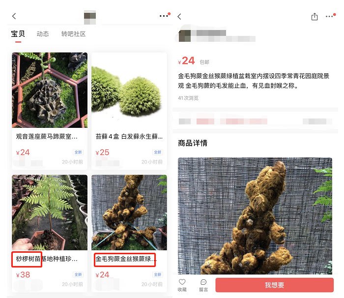 ??????????????????