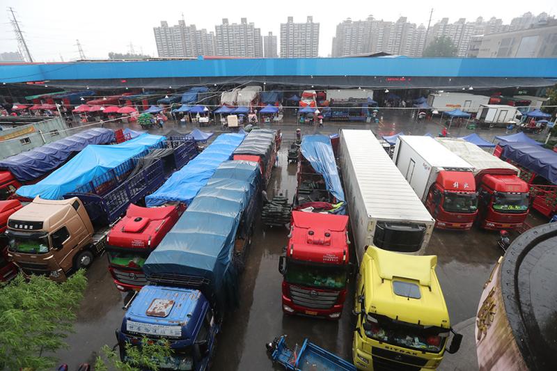 降雨持续,上海江桥蔬菜批发市场日均进场6000多吨150多个品种蔬菜