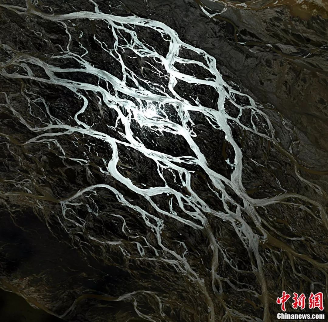 刚刚,青海流出一批照片,惊呆了…