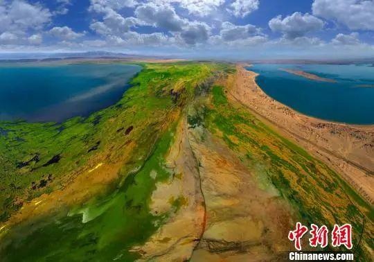 刚刚,青海流出一批照片,惊呆了…