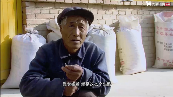 真实影像|《出·路》对教育的追问
