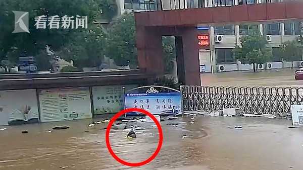 视频|交警小哥积水中游泳巡查:只想尽快知道学校情况