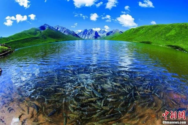 刚刚,青海流出一批照片,惊呆了…