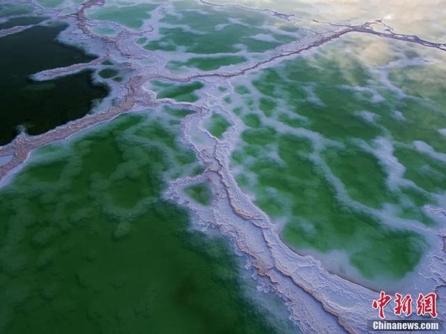 刚刚,青海流出一批照片,惊呆了…