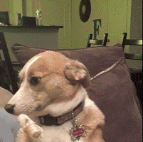 201_200gif 动态图 动图