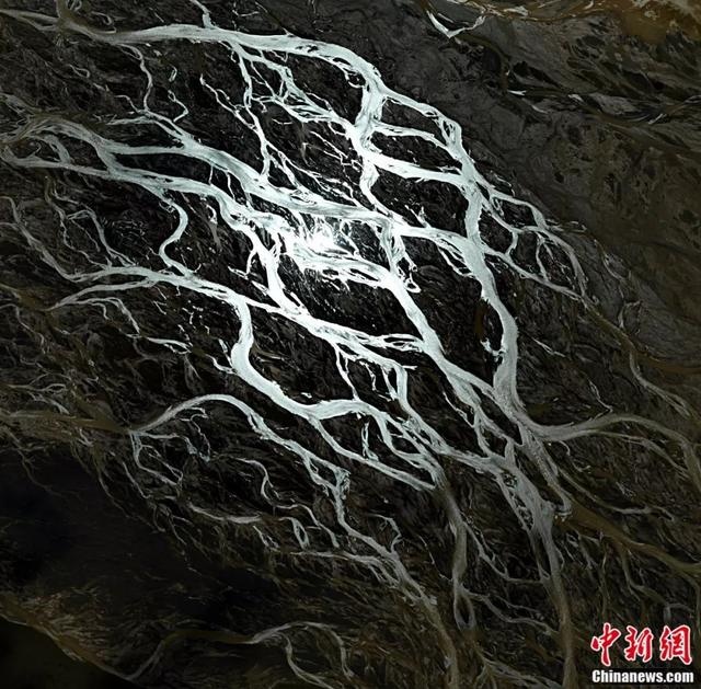 刚刚,青海流出一批照片,惊呆了…