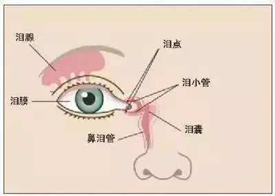 健康 | @家长们,婴幼儿“眼泪汪汪”可能不是小问题!
