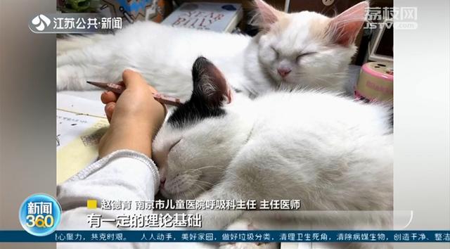 准妈妈爱撸猫撸狗,能预防娃过敏?医生:有一定道理