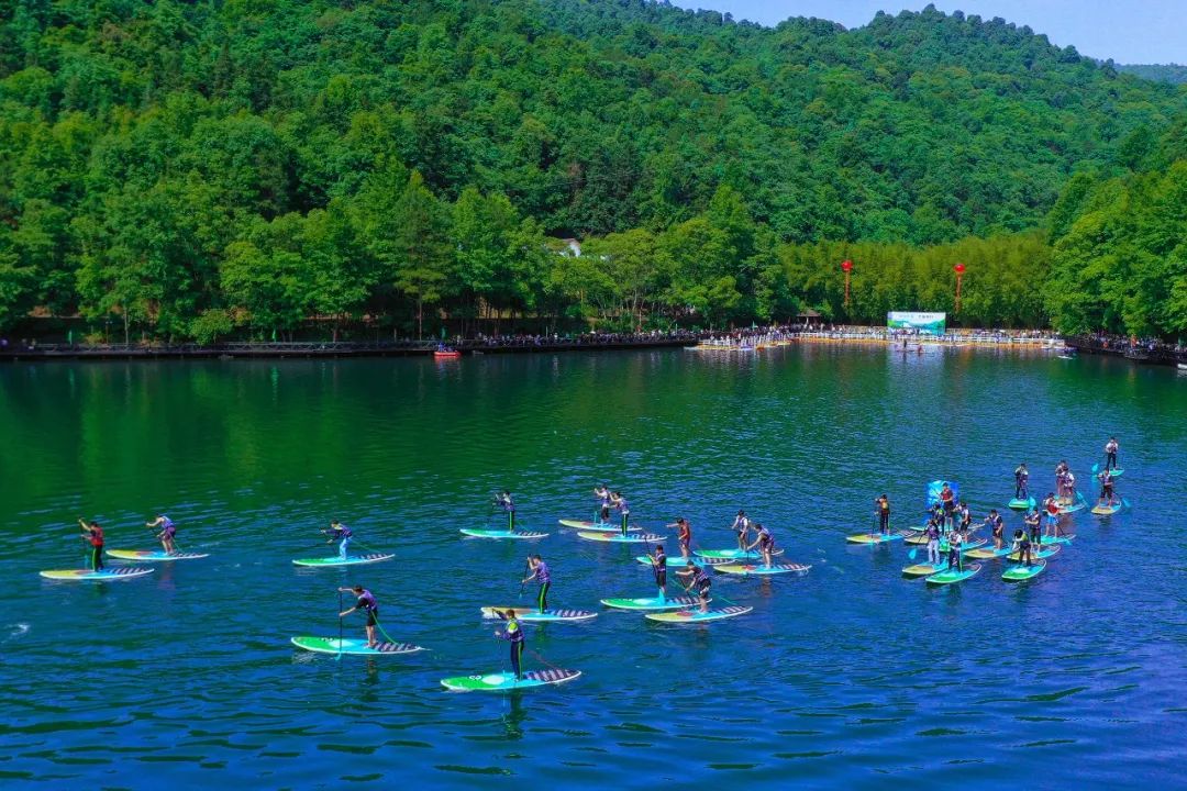 寻夏 这个夏天,去崇义阳明山避暑吧|阳明山|竹海_新浪新闻