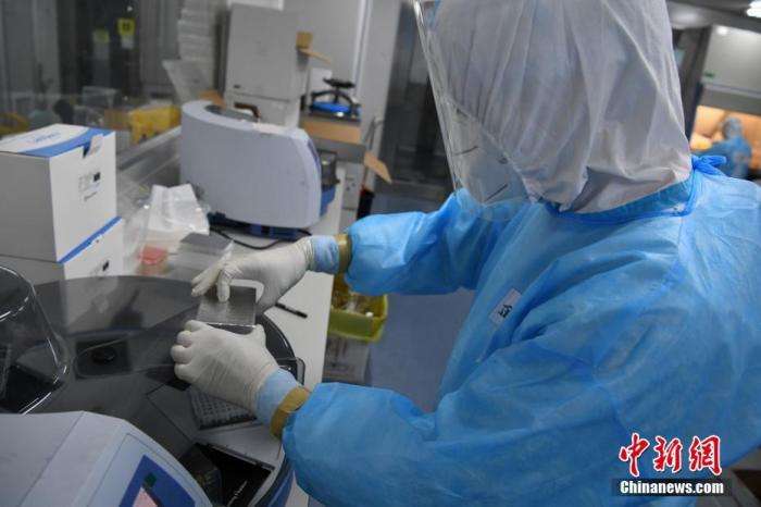 检测职员利用离心机举行核酸提取事情。 中新社记者 崔楠 摄
