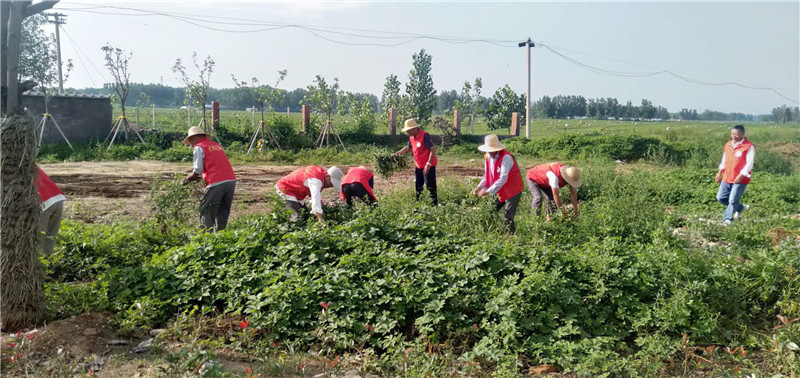 如何在城中村省60%租金？颜值与性价比并存的200元租房攻略
