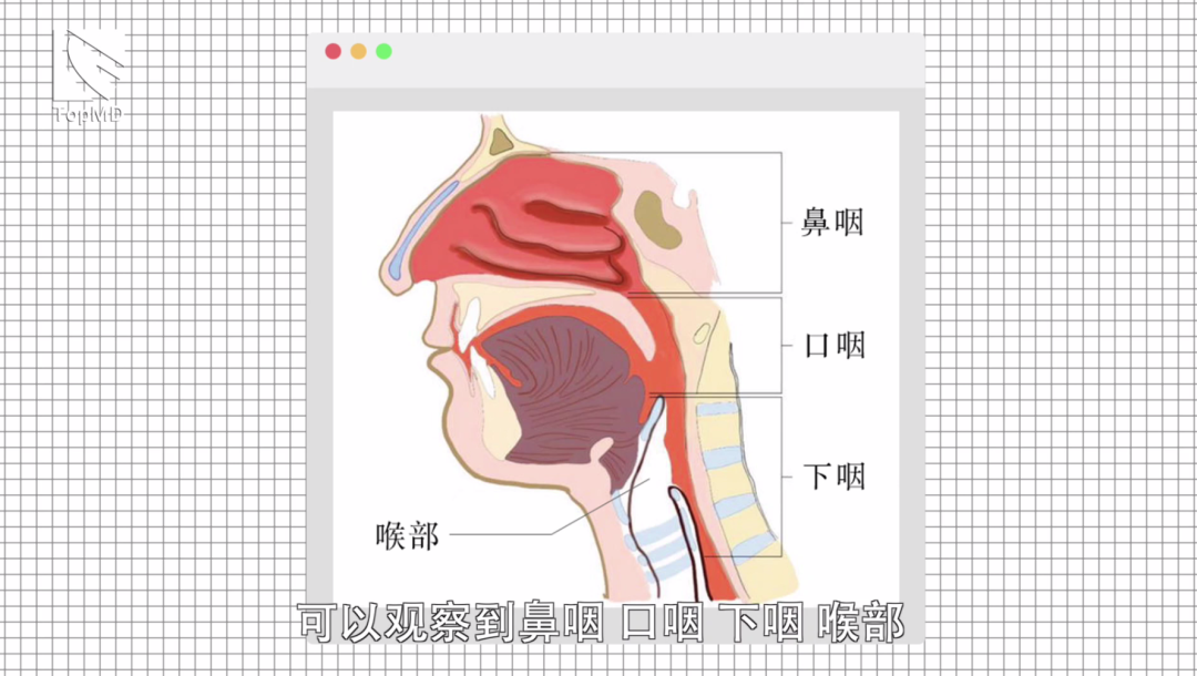250w+观看!体检结果写着EB病毒阳性,这是得鼻咽癌了吗?