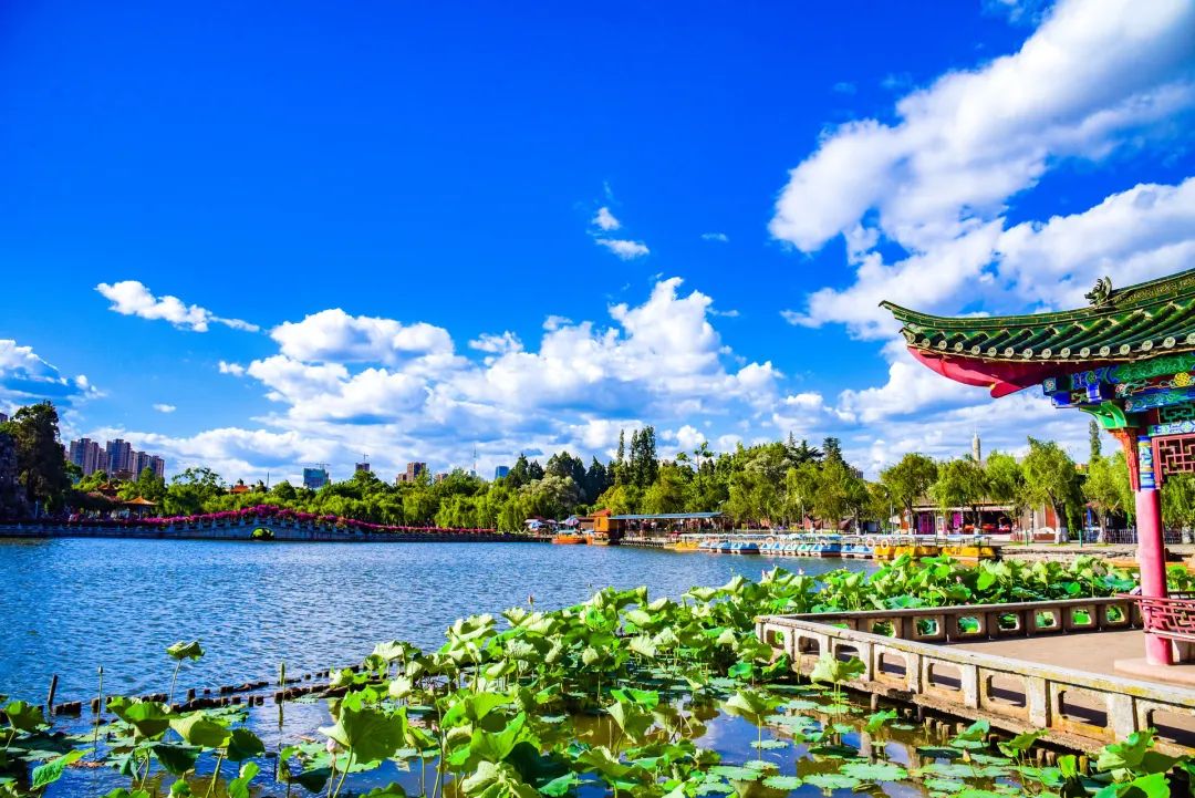 春城人口_春城香烟图片(2)