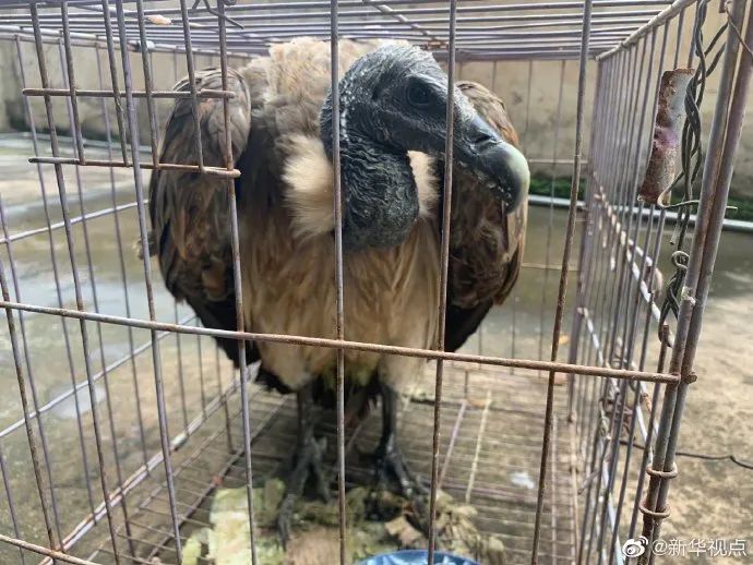 全国超半数省份结束高考;美出现“食脑虫”感染病例丨科技早新闻