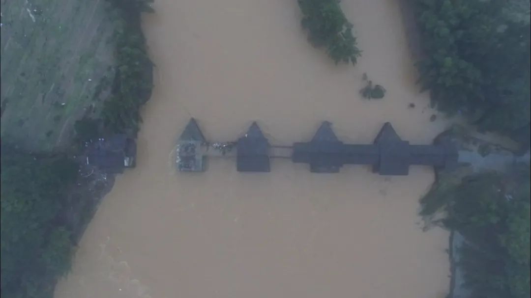 全网寻找被洪水冲走的“国宝”！