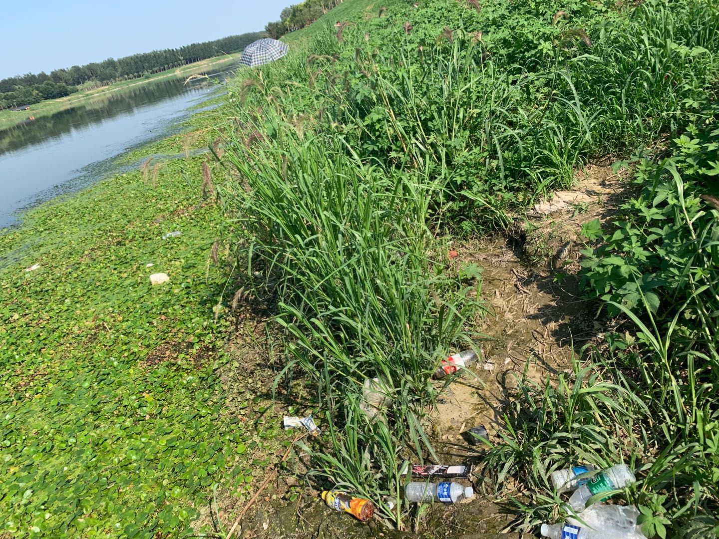 野钓爱好者乱扔垃圾随地小便,清洁工人压力大丨向不文明说不④